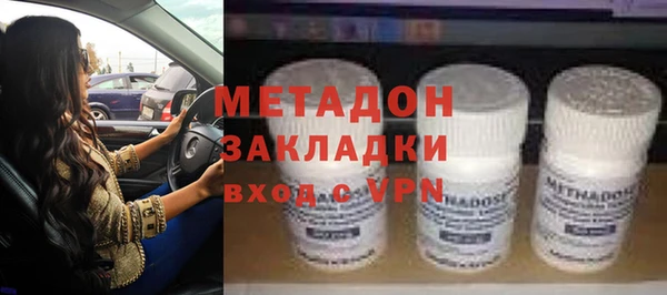 шишки Надым