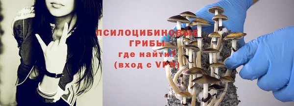 mix Арсеньев