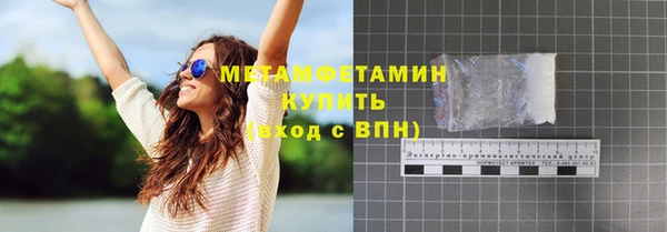 шишки Надым