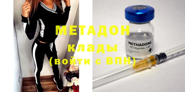 шишки Надым