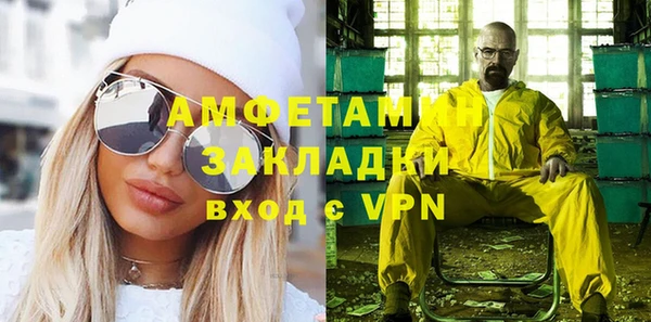 шишки Надым