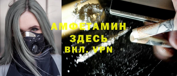шишки Надым